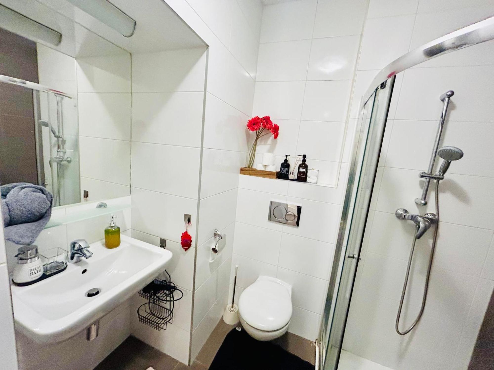 Luxury And Cozy Vinohrady Apartment